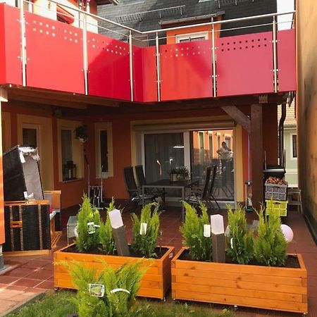 Ferienwohnung Albrecht Strandkorb Bad Schandau Dış mekan fotoğraf